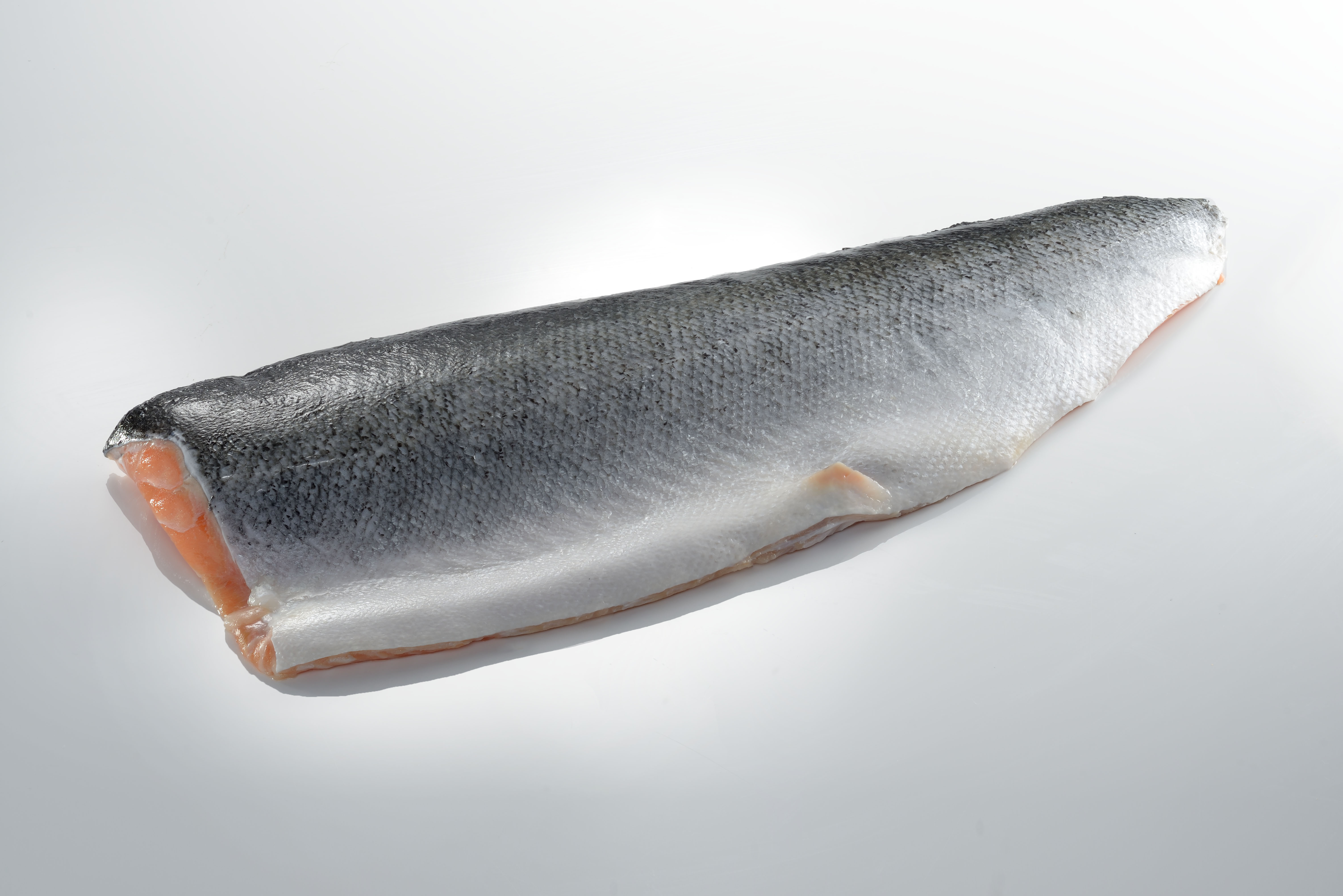 Atlantic Salmon Fillet Trim C