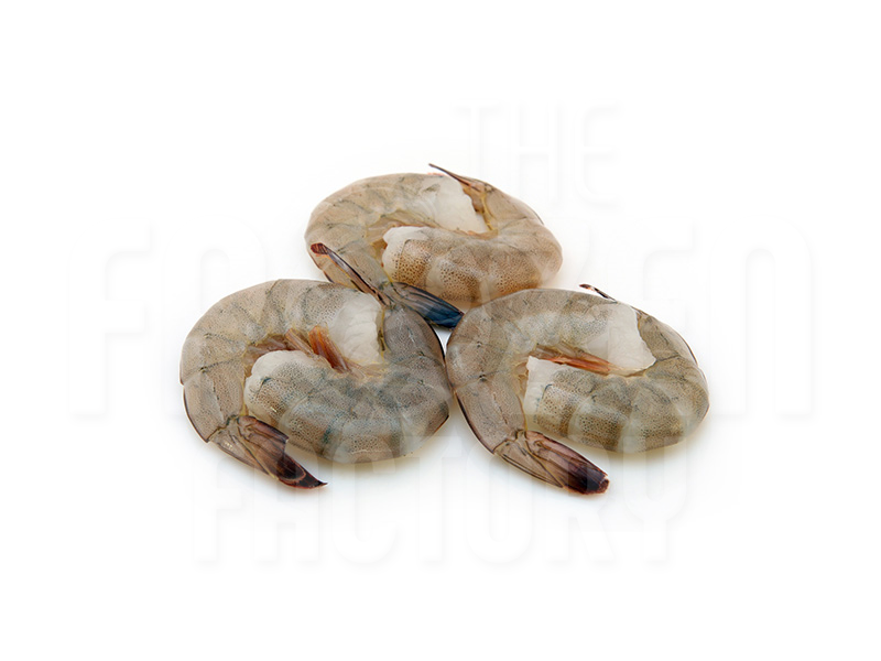 Frozen Shrimp